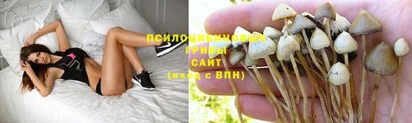 бошки Вязники
