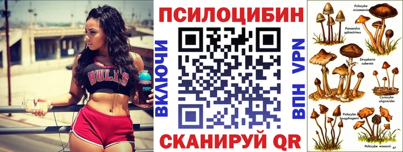 blacksprut как зайти  Звенигово  Галлюциногенные грибы прущие грибы 